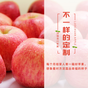 包邮 洛川苹果全年供12箱新鲜水果整箱 每月1箱赠4件套