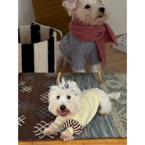 POXFFEEPet领口袖口全麻花设计毛衣秋冬西高地马尔济斯小型犬衣服