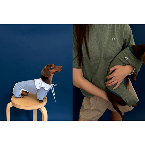 POXFFEE Pet/宠物狗狗衣服四脚衣基础打底衫内搭亲子舒适中小型犬