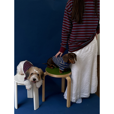 POXFFEE Pet/复古条纹 亲子狗狗衣服 腊肠狗西高地