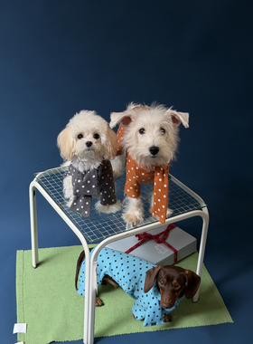 POXFFEEPet小狗狗宠物衣服冬装比熊柯基泰迪小型犬用品四脚衣