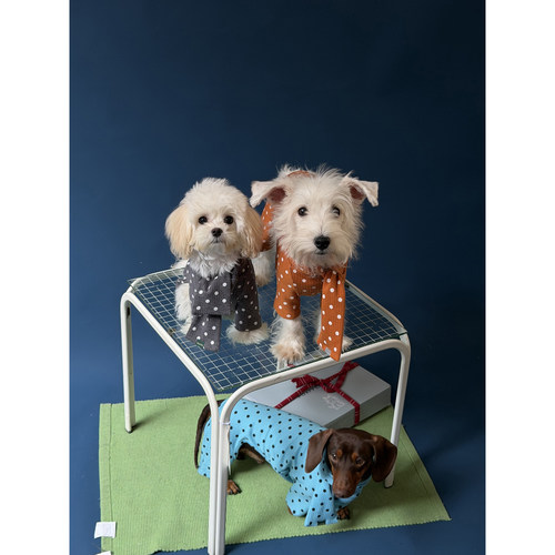 POXFFEEPet小狗狗宠物衣服冬装比熊柯基泰迪小型犬用品四脚衣