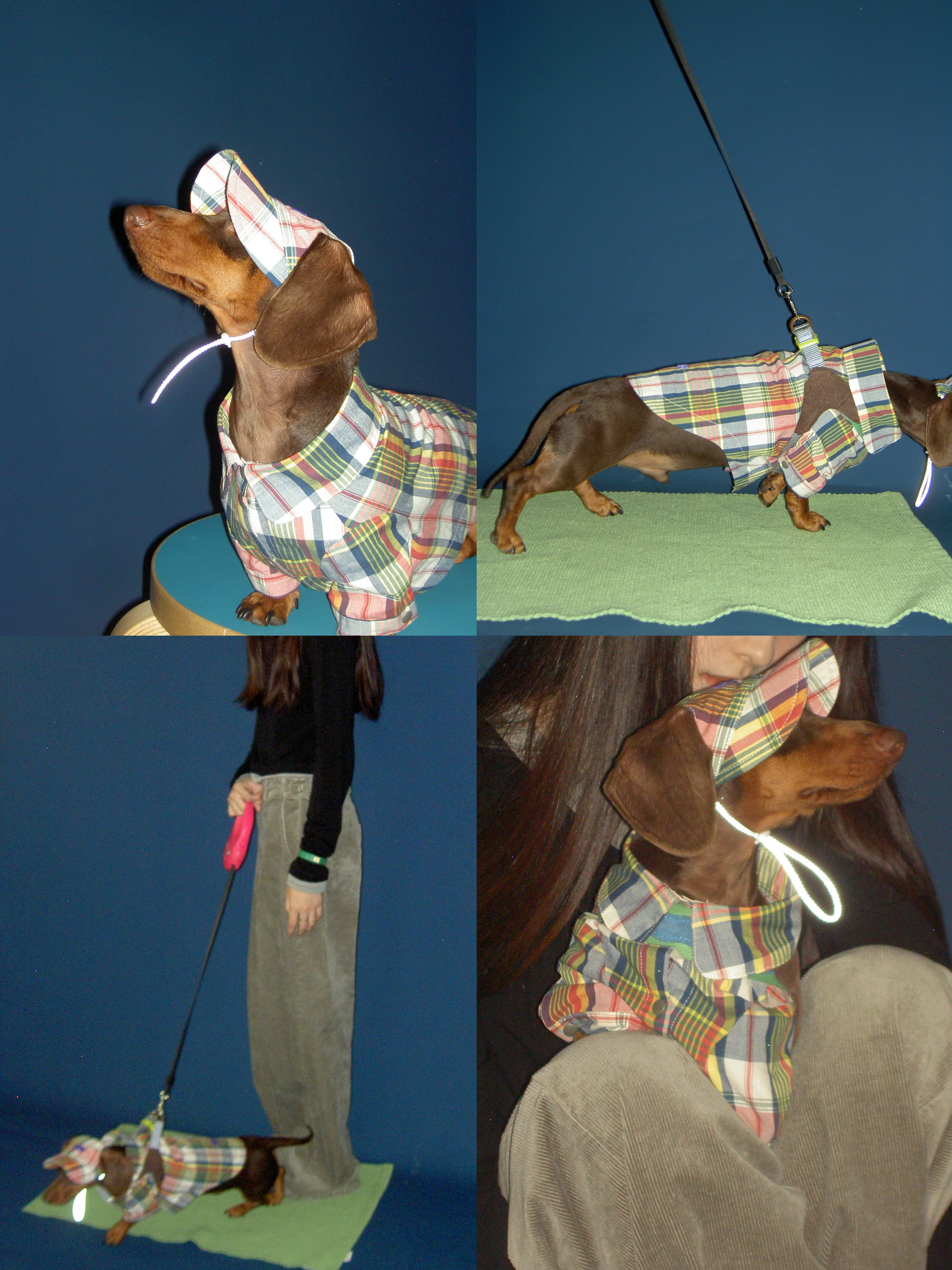 POXFFEE Pet/春夏时尚狗狗衣服格纹衬衫中小型犬西高地腊肠比熊