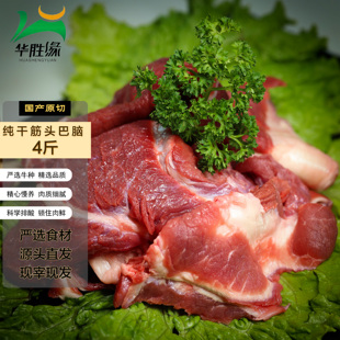国产4斤筋头巴脑新鲜速冻生牛筋牛肉筋筋头巴脑清真牛肉鲁西黄牛