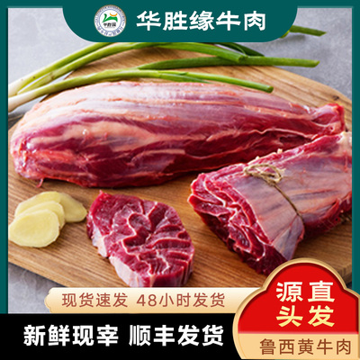 华胜缘金钱展山东国产黄牛