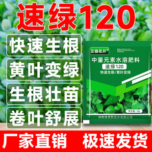 叶绿素速绿120叶面肥提苗壮棵增绿增厚中量元素水溶肥料增效方便