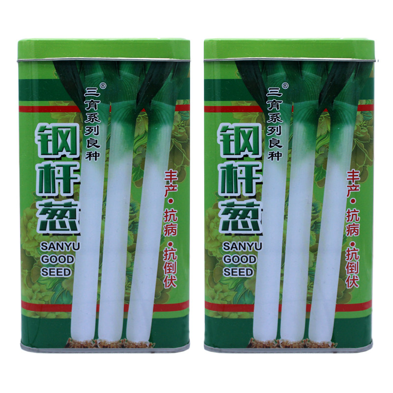 新品种山东章丘大葱种子正宗铁杆蔬菜种子/种苗