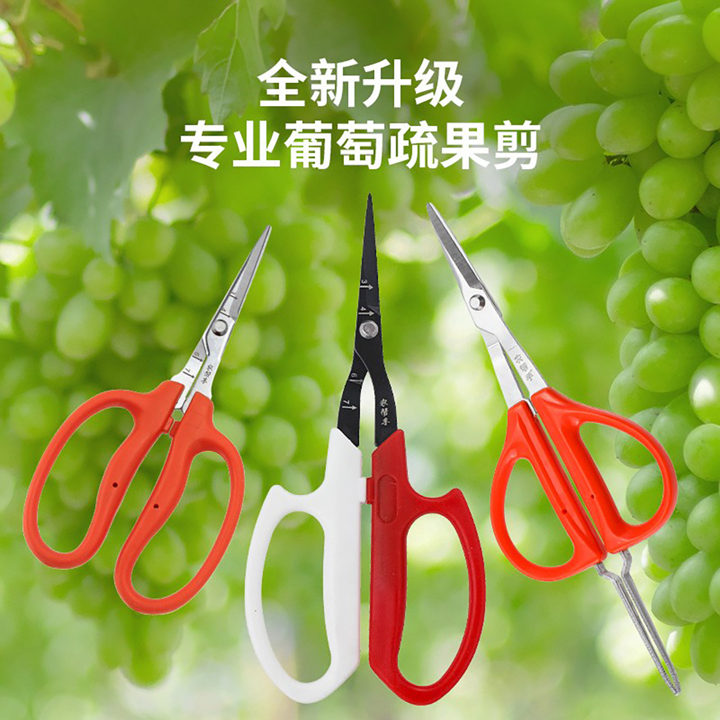 农帮手翘头葡萄疏果剪阳光玫瑰专用剪刀特氟龙加长刀头花椒剪修花