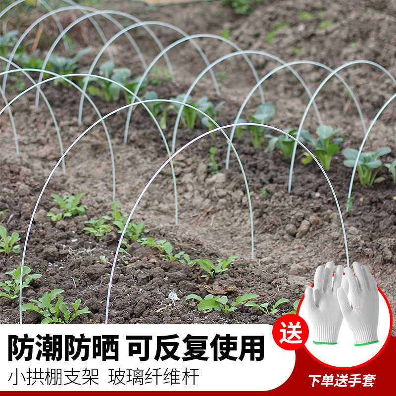 小拱棚支架玻璃纤维杆保温棚花棚新型农用大棚骨架菜园防冻雪拱竿 农机/农具/农膜 温室大棚支架 原图主图