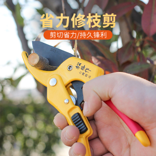 台湾松格作修枝剪果树采摘果剪园林树枝剪刀省力强力修枝园艺修花