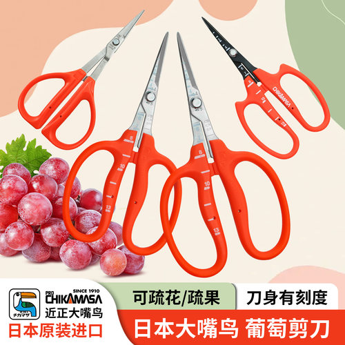 葡萄疏花疏果剪翘头葡萄修果专用