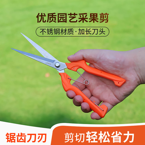 农帮手摘果剪疏花剪修花修枝剪