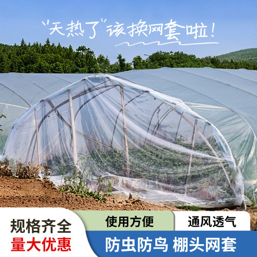 西瓜棚头套防虫网罩防蜜蜂苍蝇