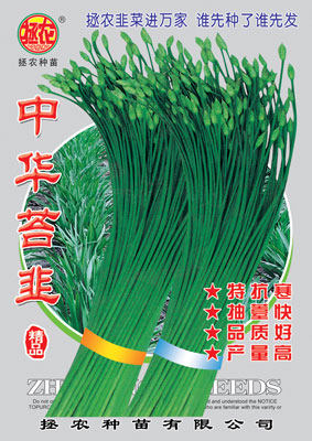 拯农韭菜中华苔韭优质韭菜种子河南韭菜种子高产韭菜种子苔韭种子