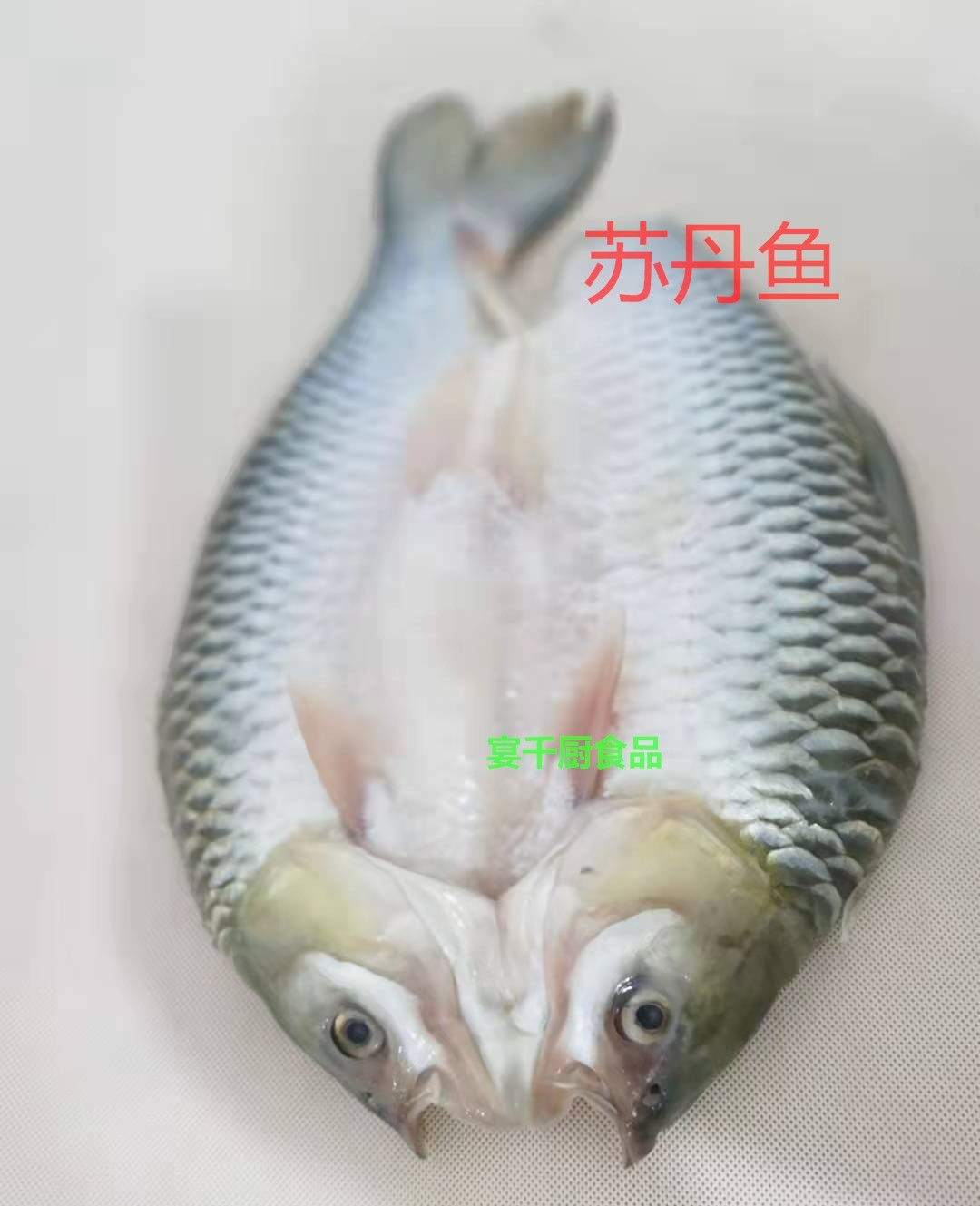 冷冻腌制开背苏丹鱼皇帝鱼忘不了淡水鱼700-800克/条多省3条包邮