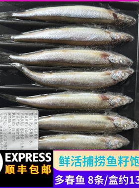 冷冻多春鱼满籽海鱼海鲜烧烤
