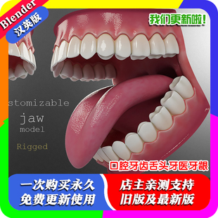 Blender资产模型源文件口腔牙齿舌头牙医牙龈