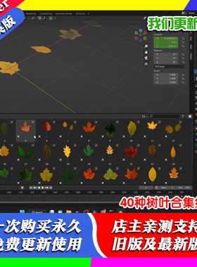 Blender资产包 Leafify 40种枫叶树叶草叶不同形状合集纹理Alphas