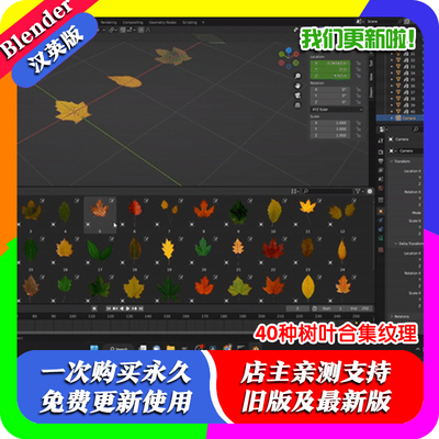 Blender资产包 Leafify 40种枫叶树叶草叶不同形状合集纹理Alphas