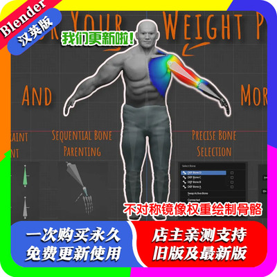 Blender插件 Weight Paint and Bones 不对称镜像权重绘制骨骼