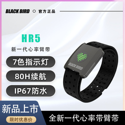 黑鸟Blackbird心率臂带跑步骑行