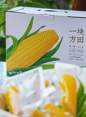 一块方田黄糯玉米软糯香甜早餐大苞米健康粗粮香糯苞谷10棒独立装