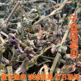 益母草干品益母草段有花杆叶益母蒿姨妈草益母草药茶女性调理泡茶