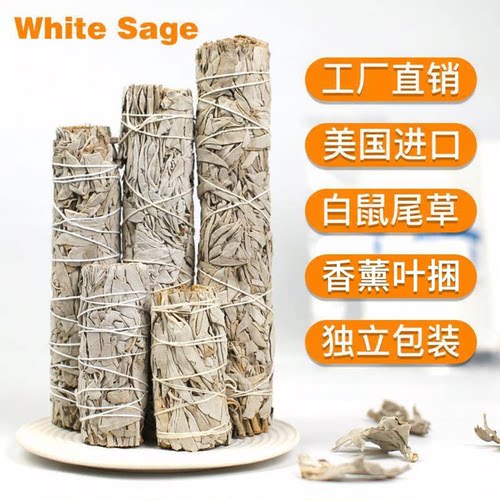 进口美国白鼠尾草蓝草雪松杖圣木线香熏净化塔香鲍鱼壳white sage