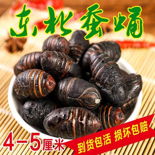 蚕蛹东北茧蛹黄蚕蛹鲜活