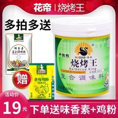 花帝大厨四宝烧烤王500g羊肉串韩式烤肉蘸料腌制东北烧烤撒料调料