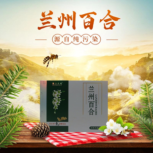 陇上天域甘肃兰州精品百合干256g/盒