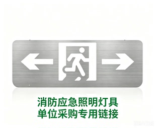 集中控制新款新国标消防应急疏散指示安全出口标志灯