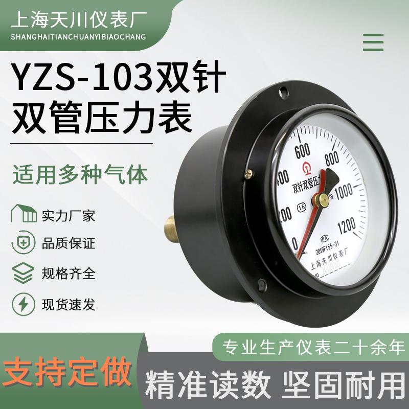 厂家推荐 管YZS-13双针双压力边表 轴向带双针双管压力表 YZS-103