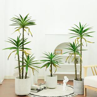 人造热小物剑带兰盆景大型仿绿真植物剑麻盆栽内落地假植龙室小剑