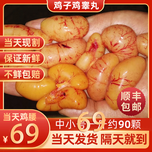 中小号70~60颗新鲜鸡腰子新鲜散养鸡子 新鲜鸡子公鸡蛋鸡卵子鸡宝