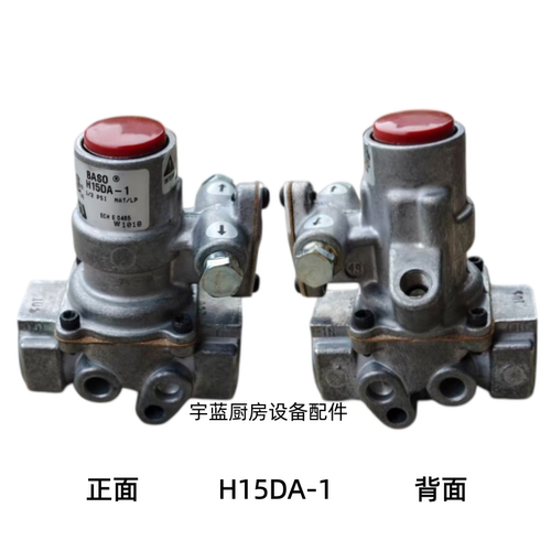 BASO蒸炉安全阀H15DA-1燃气阀