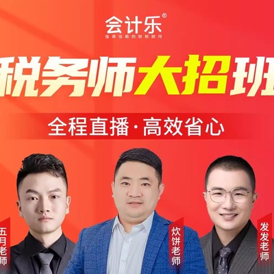 【大招班】2025乐私塾税务师注税会计考试网课直播录播财务