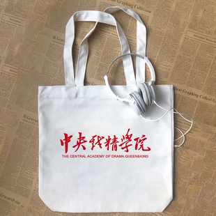 中央戏精学院恶搞笑中文衣服幽默有趣纯棉帆布包手提袋