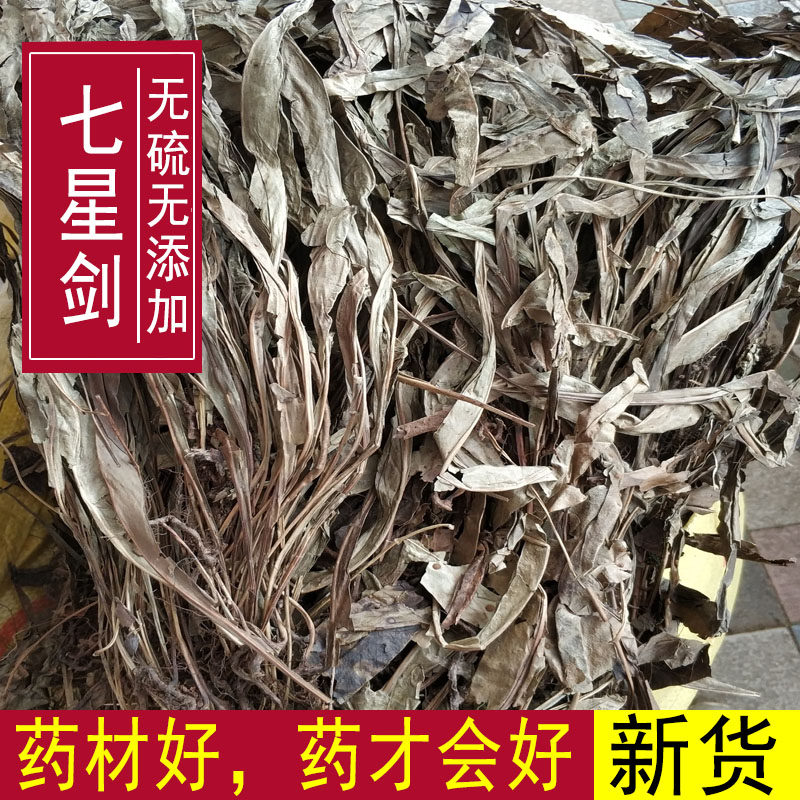 七星剑金鸡脚野生鹅掌金星草痱子草冷药中草药七星剑假芥兰七叶星