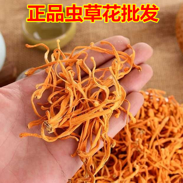 虫草花正品特级干货孢子头250g金虫草花非500克包邮北虫草蛹虫草