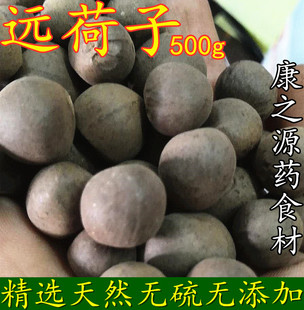 中药材 远荷籽50g包邮 中药材 远柯子 远何籽 远何子
