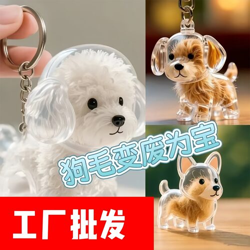 透明狗毛收纳盒吊饰扭蛋猫咪狗狗毛发存放胶囊纪念钥匙扣包包挂件
