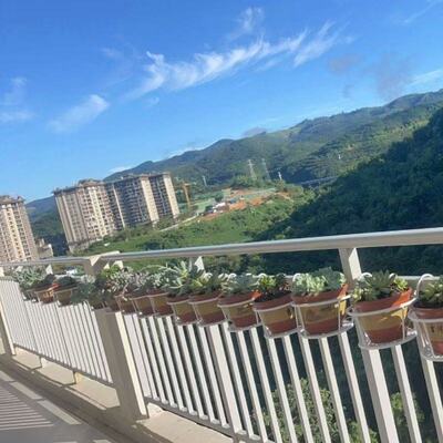 阳台花盆架家用窗台挂架栏杆多肉绿萝花架子悬挂式花架护栏