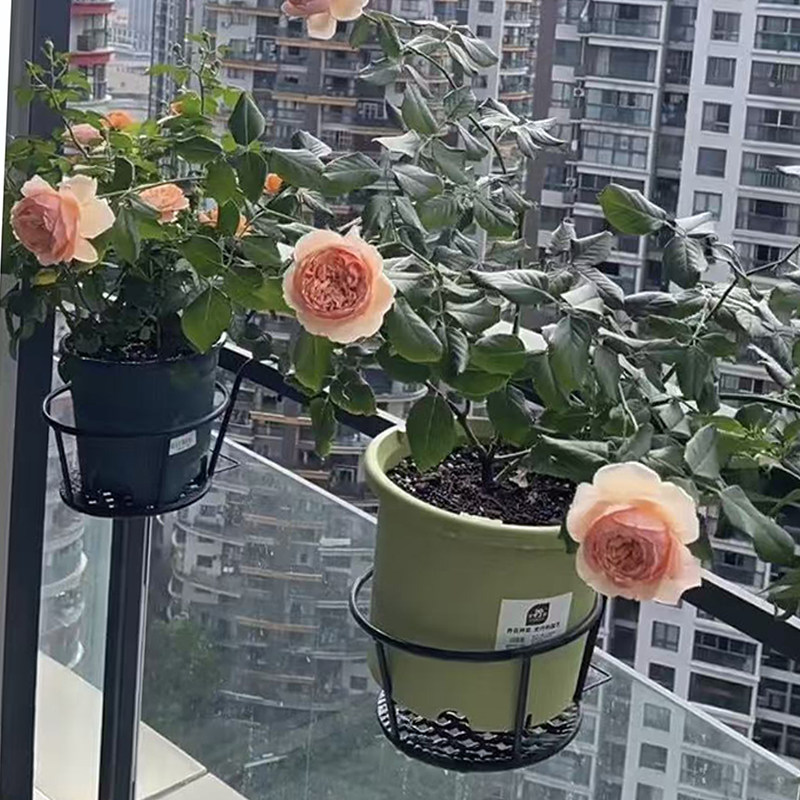 铁艺栏杆绿萝花架免安装阳台护栏悬挂式简约多肉吊篮花盆架子,收纳整理,阳台置物架,淘宝优惠券,粉丝福利购,淘宝优惠卷