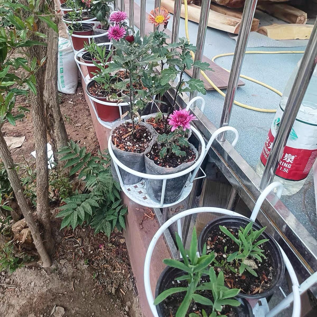 花架阳台悬挂式铁艺花篮栏杆护栏窗台绿萝吊兰花盆架家用置物挂架