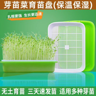 育苗盘种植发芽盆大容量家用豌豆苗蒜苗豆芽机发豆芽专用盆子神器