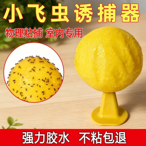 室内诱蝇球果蝇球小飞虫家用灭蝇神器安全环保持久厨房厕所客厅