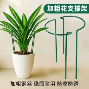 花支撑架金钱树植物花支架支撑杆花架花卉龟背竹防倒伏虎皮兰护花