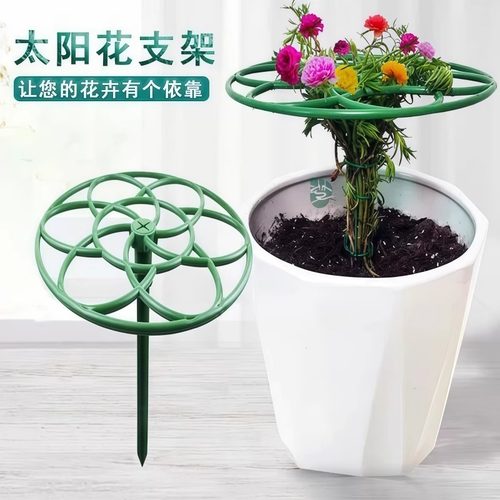 太阳花棒棒糖造型支架叶仙人掌蟹爪兰嫁接用单层多层支撑爬藤花架