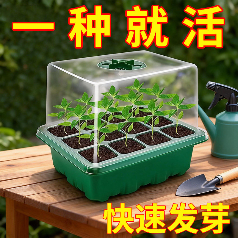家用带盖育苗盘加高可调节不闷保温播种保湿穴盘带孔养护阳台花园